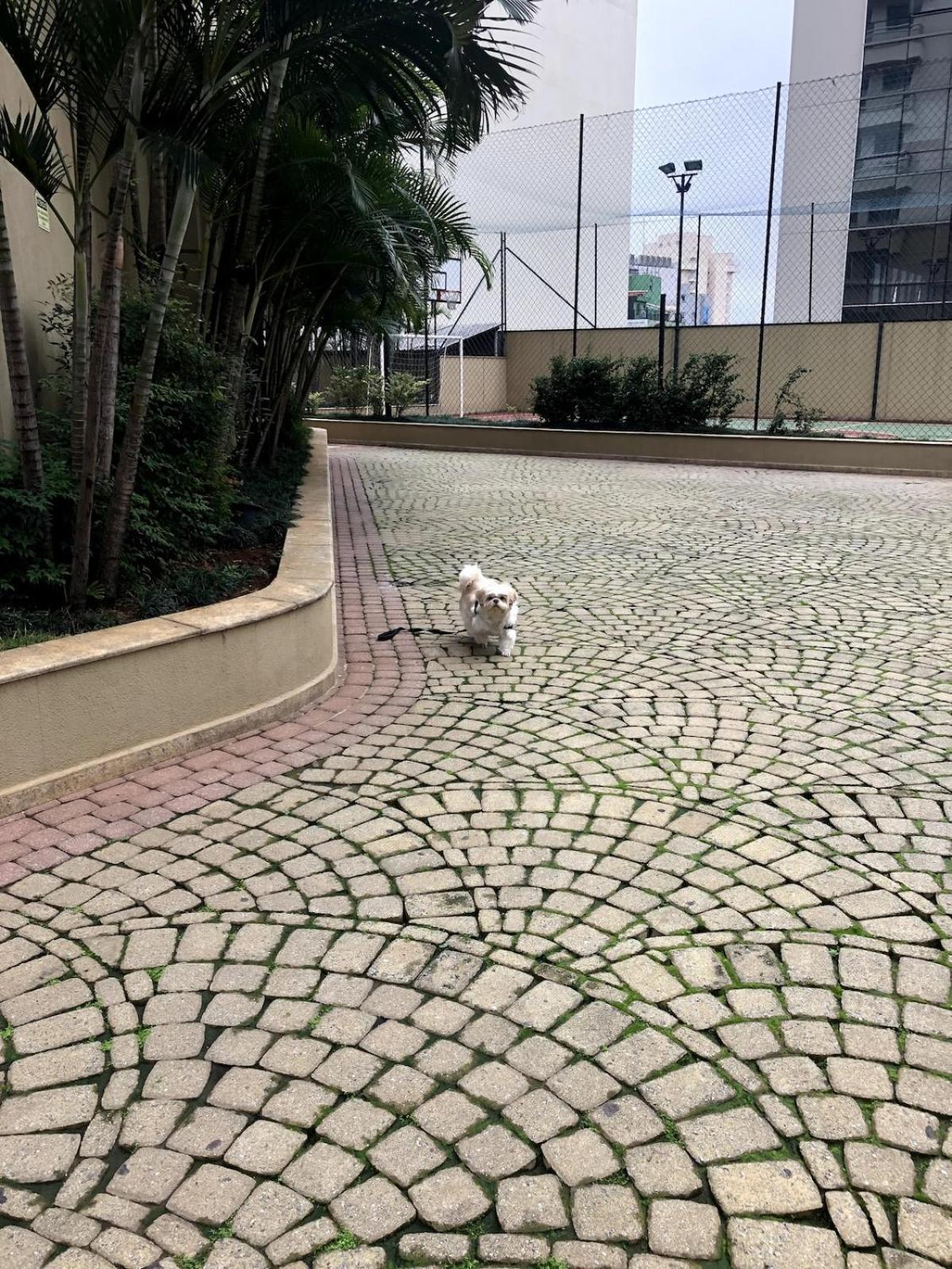 Ap 2 Quartos Proximo A Av Paulista Com Vaga Bc01